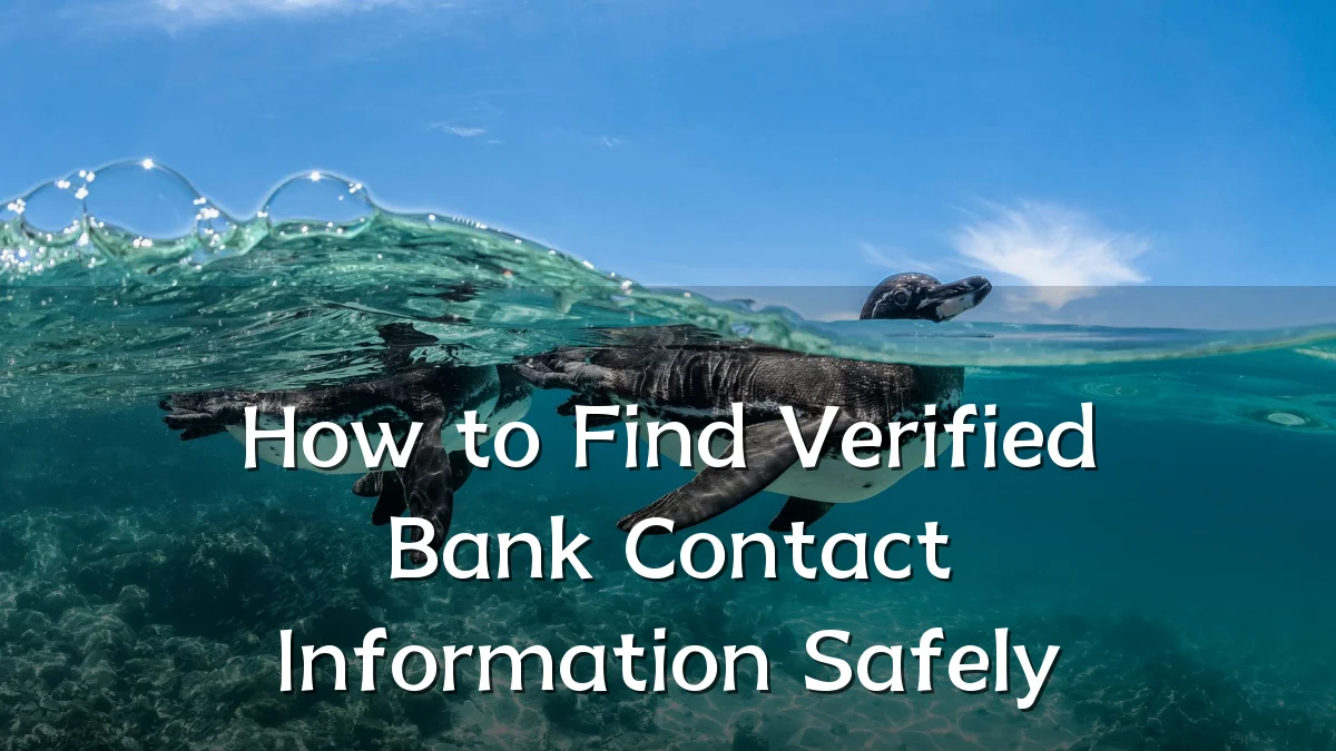 How to Find Verified Bank Contact Information Safely