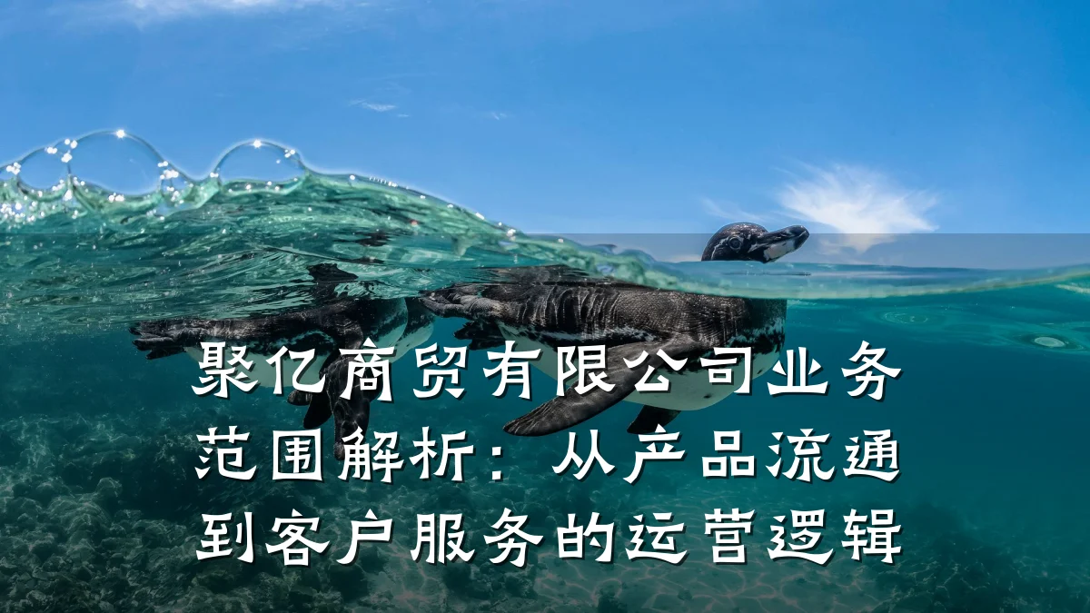 聚亿商贸有限公司业务范围解析：从产品流通到客户服务的运营逻辑
