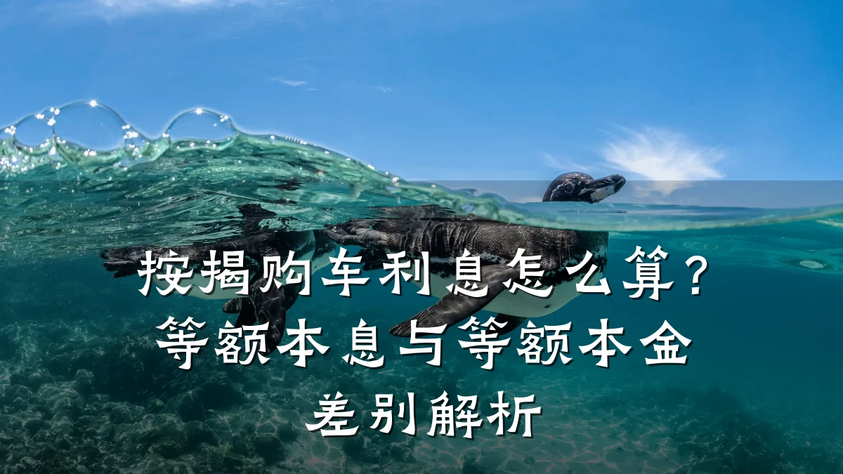 按揭购车利息怎么算?等额本息与等额本金差别解析