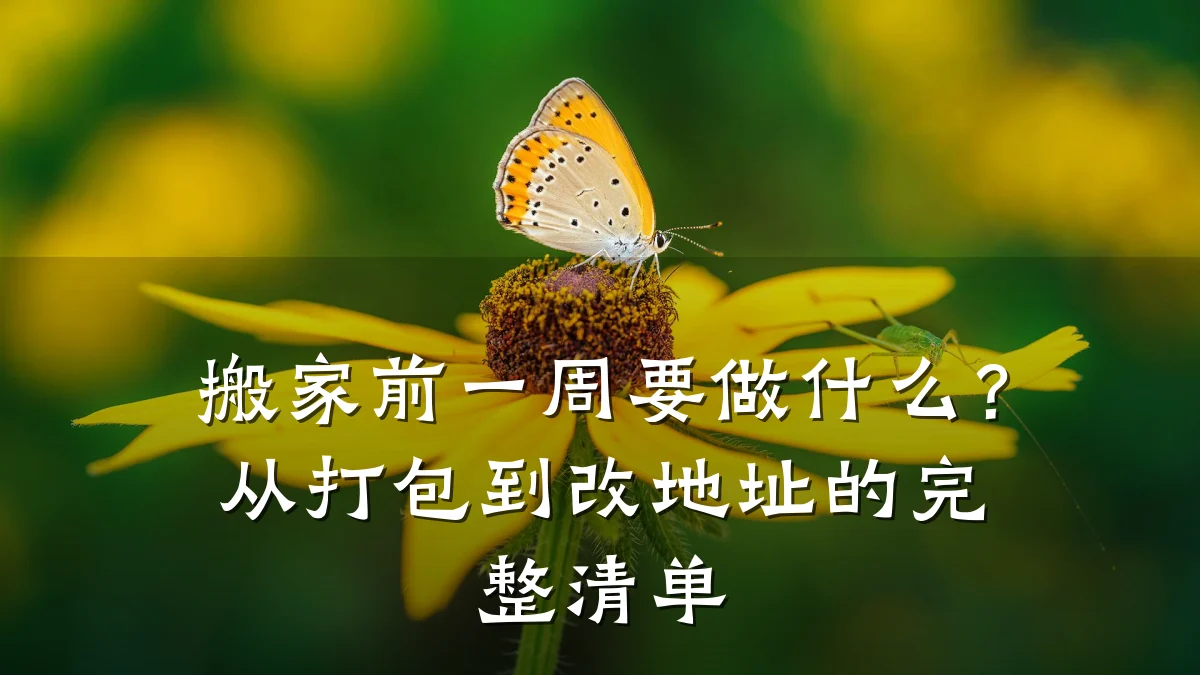搬家前一周要做什么？从打包到改地址的完整清单