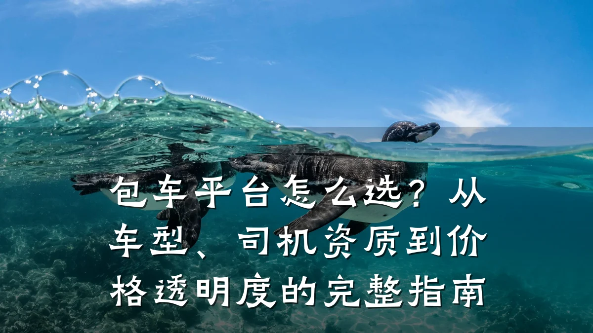 包车平台怎么选?从车型、司机资质到价格透明度的完整指南