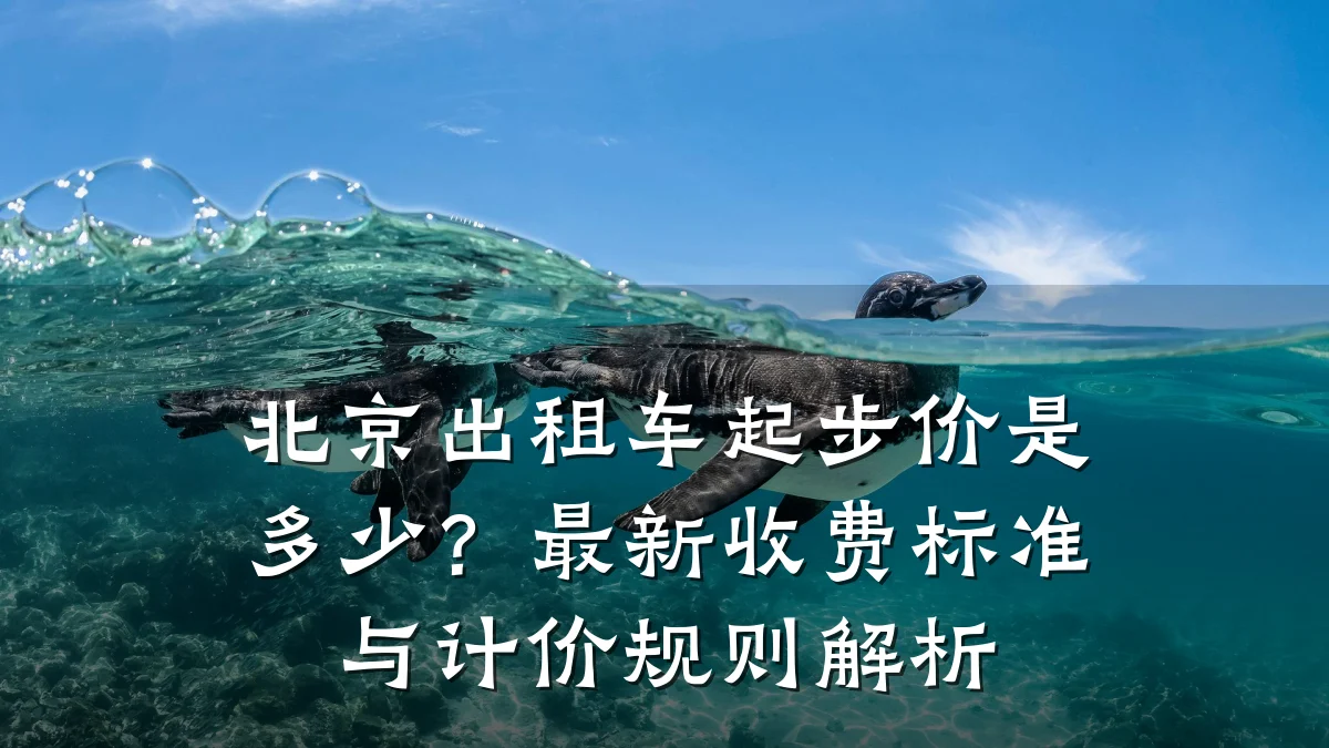 北京出租车起步价是多少？最新收费标准与计价规则解析
