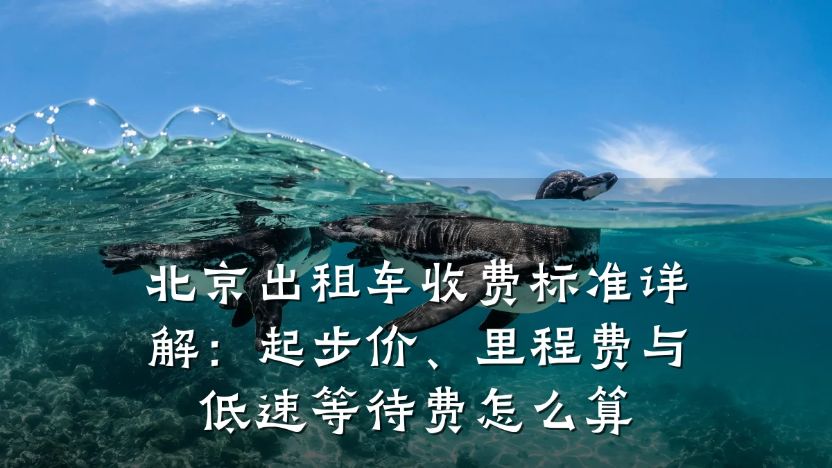 北京出租车收费标准详解：起步价、里程费与低速等待费怎么算