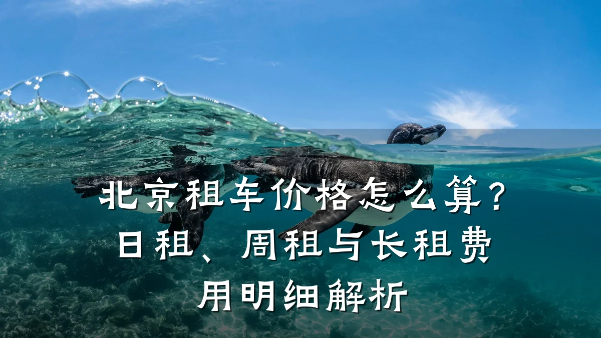 北京租车价格怎么算?日租、周租与长租费用明细解析