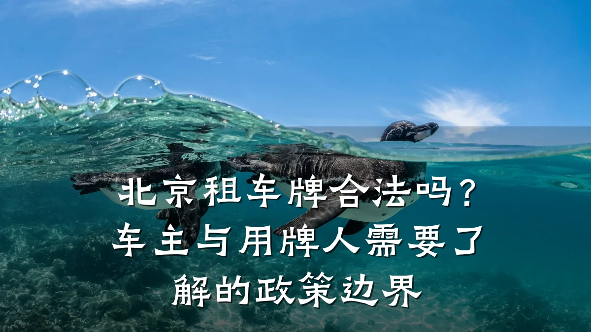 北京租车牌合法吗?车主与用牌人需要了解的政策边界