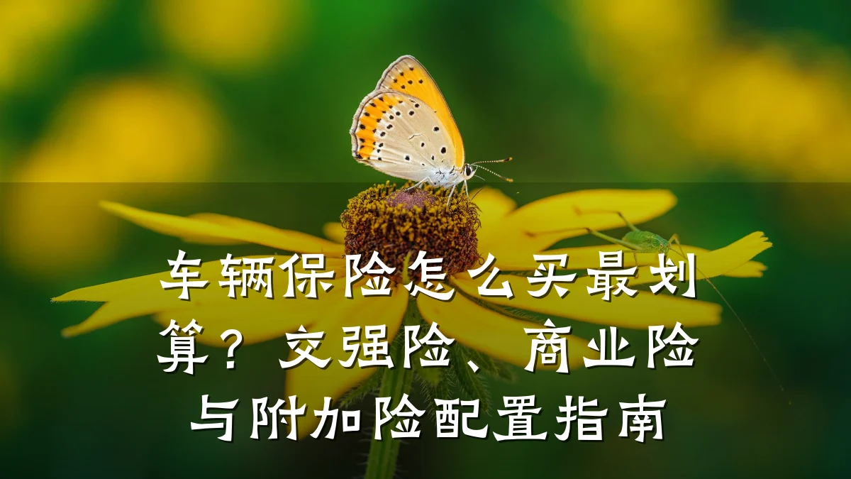 车辆保险怎么买最划算？交强险、商业险与附加险配置指南