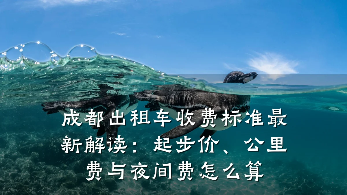 成都出租车收费标准最新解读:起步价、公里费与夜间费怎么算