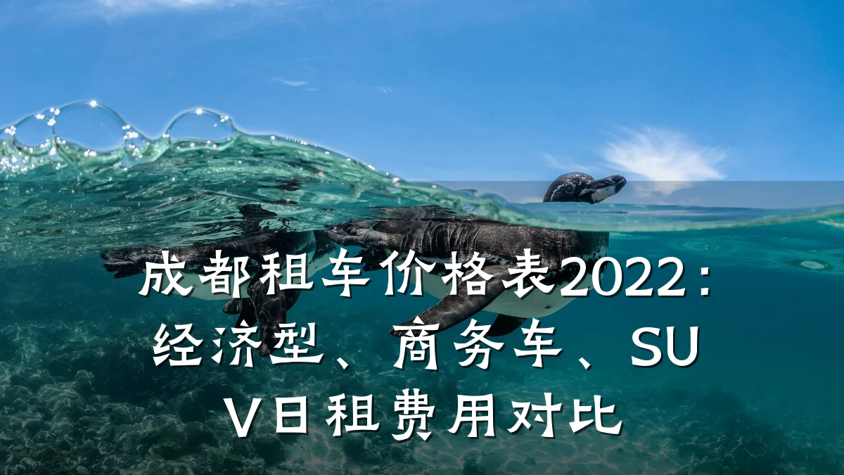 成都租车价格表2022：经济型、商务车、SUV日租费用对比