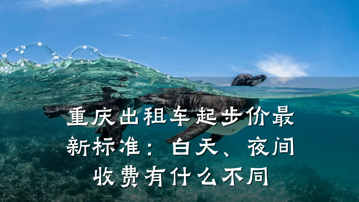 重庆出租车起步价最新标准：白天、夜间收费有什么不同
