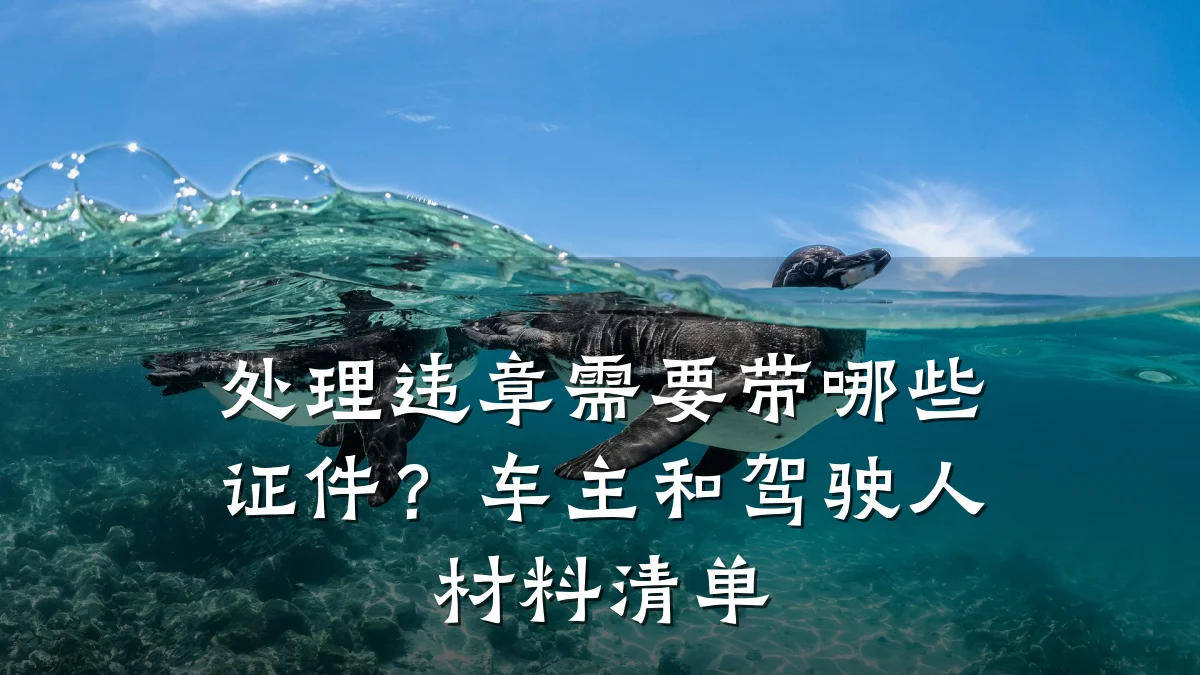 处理违章需要带哪些证件?车主和驾驶人材料清单