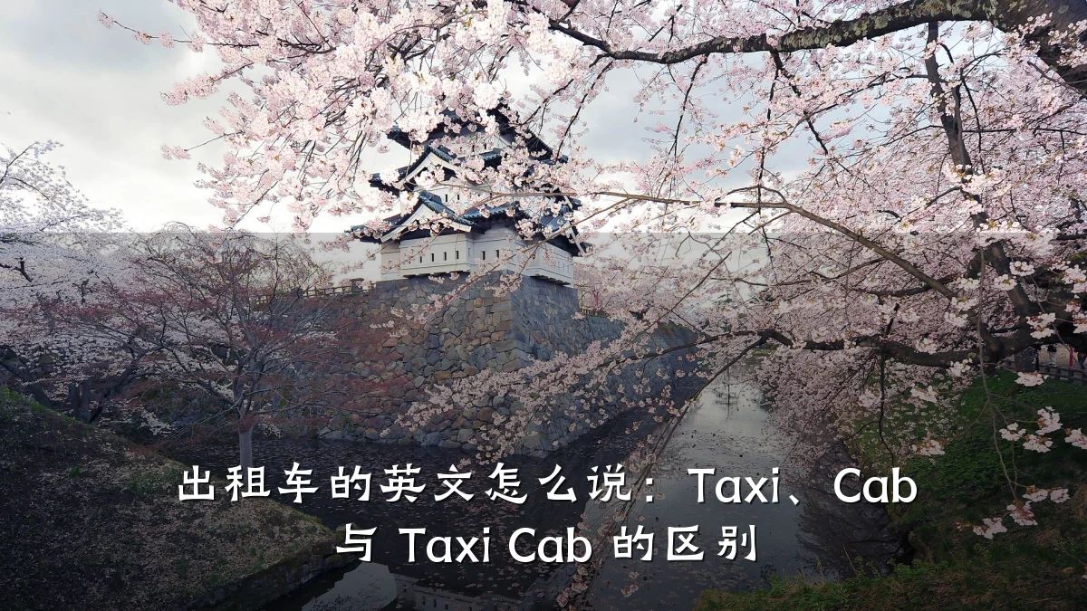 出租车的英文怎么说:Taxi、Cab 与 Taxi Cab 的区别