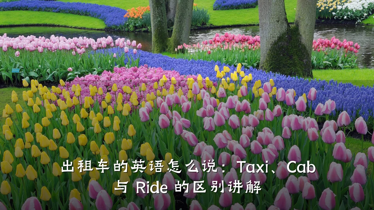 出租车的英语怎么说:Taxi、Cab 与 Ride 的区别讲解