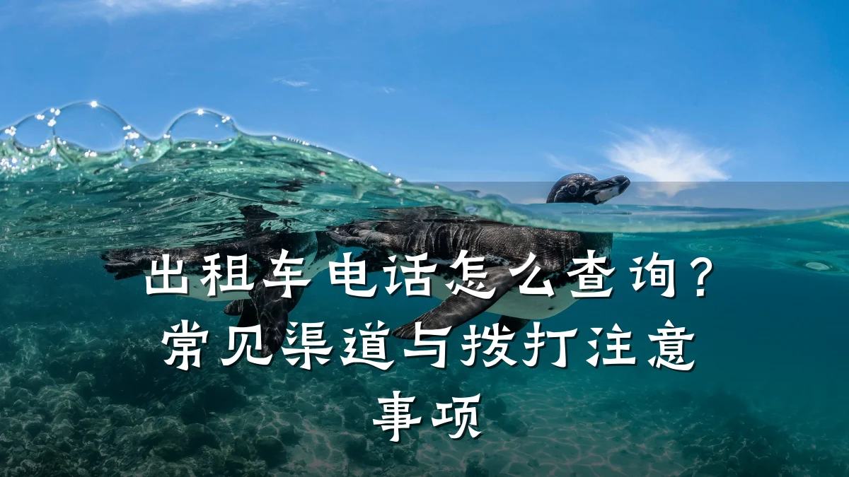 出租车电话怎么查询?常见渠道与拨打注意事项