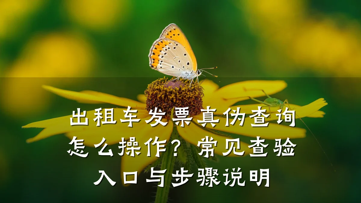 出租车发票真伪查询怎么操作？常见查验入口与步骤说明