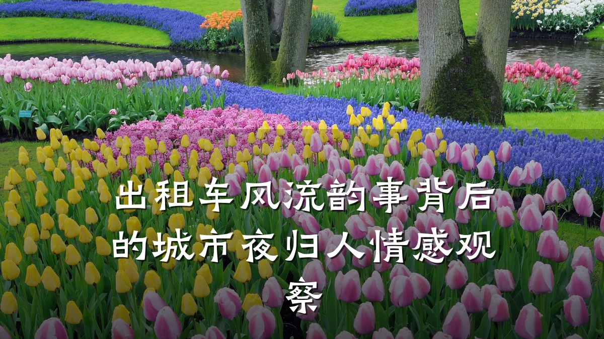 出租车风流韵事背后的城市夜归人情感观察