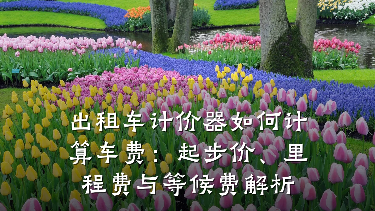 出租车计价器如何计算车费：起步价、里程费与等候费解析