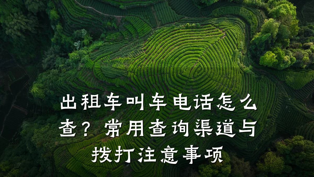 出租车叫车电话怎么查?常用查询渠道与拨打注意事项