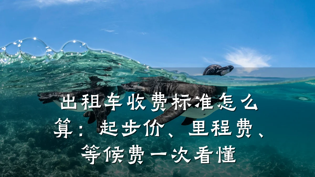出租车收费标准怎么算：起步价、里程费、等候费一次看懂