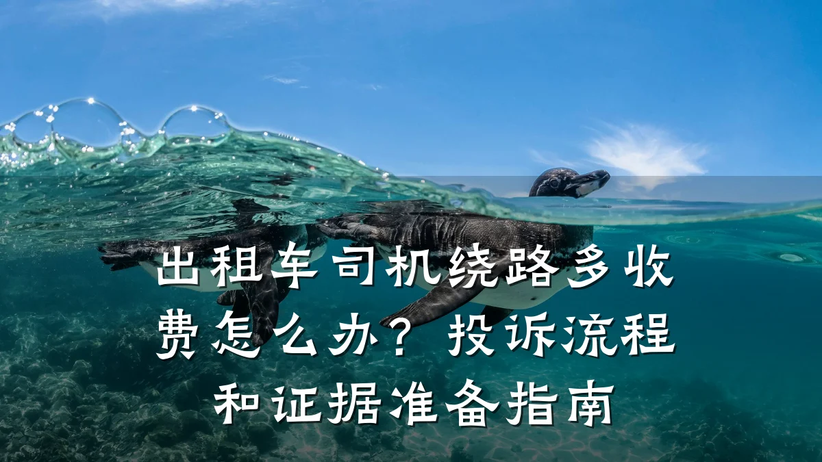 出租车司机绕路多收费怎么办？投诉流程和证据准备指南