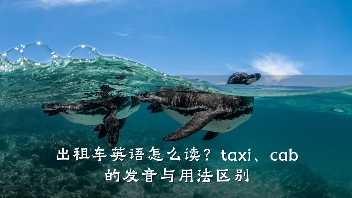 出租车英语怎么读？taxi、cab 的发音与用法区别