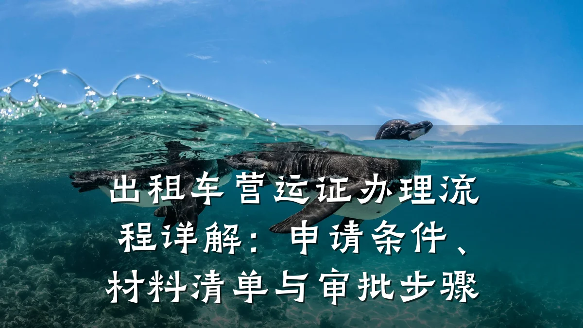 出租车营运证办理流程详解:申请条件、材料清单与审批步骤