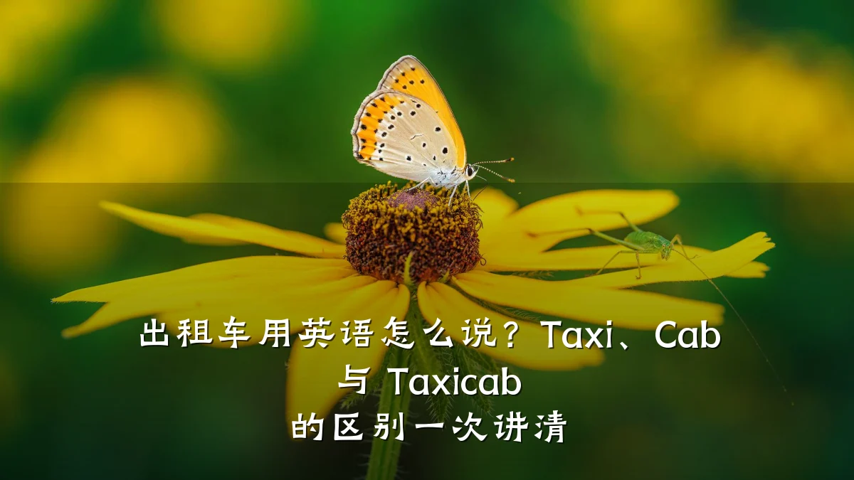 出租车用英语怎么说？Taxi、Cab 与 Taxicab 的区别一次讲清