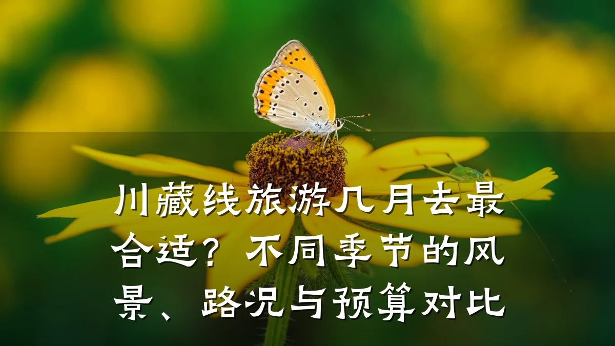 川藏线旅游几月去最合适?不同季节的风景、路况与预算对比