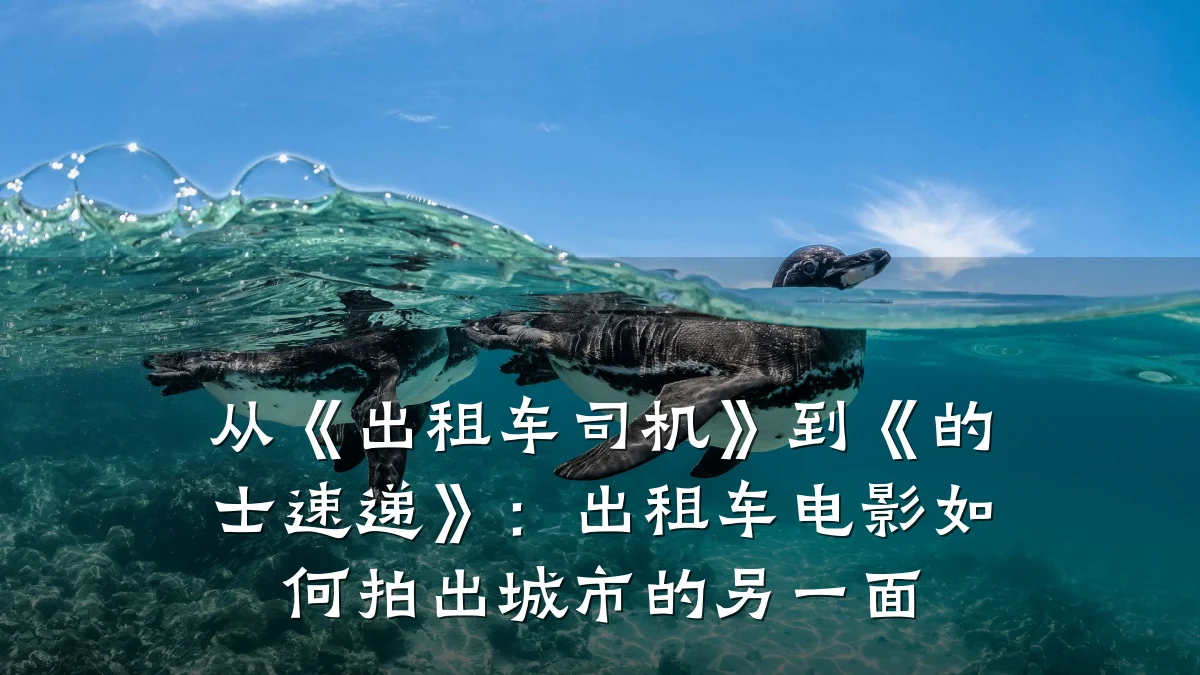 从《出租车司机》到《的士速递》：出租车电影如何拍出城市的另一面