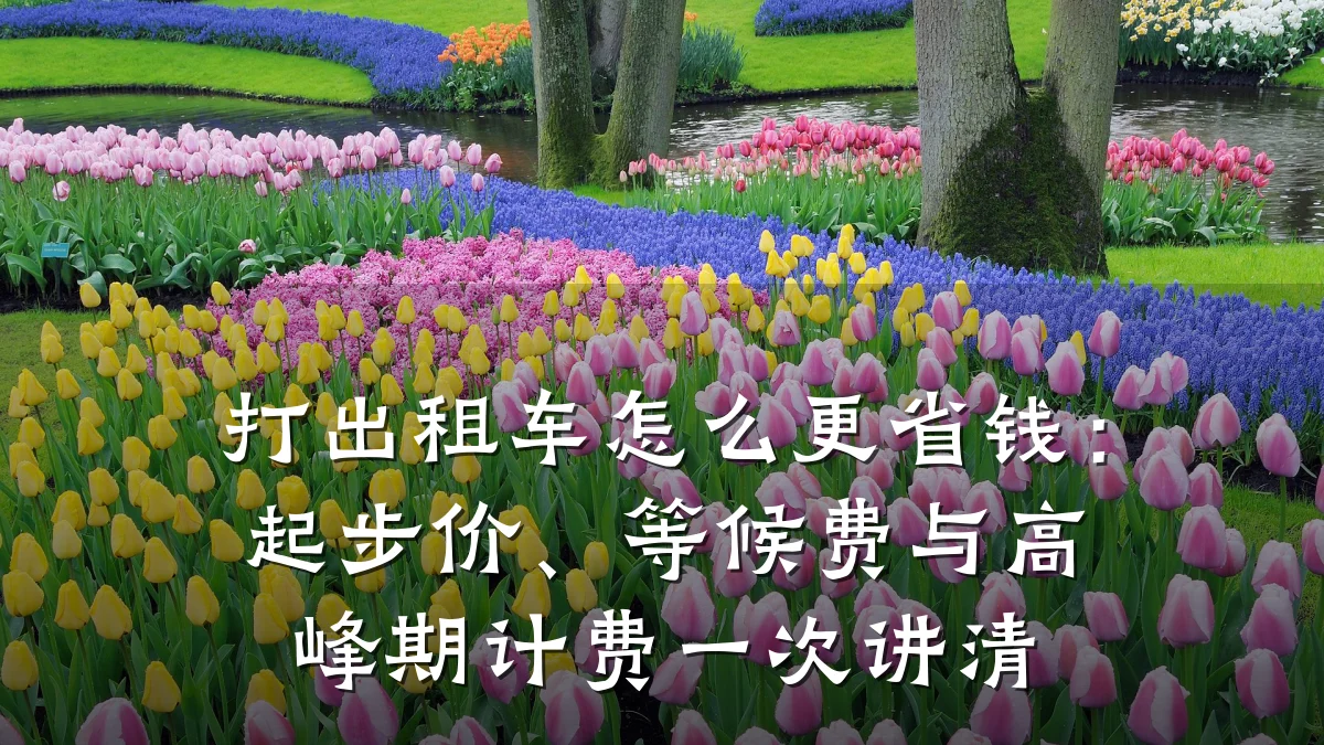 打出租车怎么更省钱：起步价、等候费与高峰期计费一次讲清