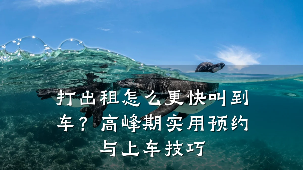 打出租怎么更快叫到车？高峰期实用预约与上车技巧