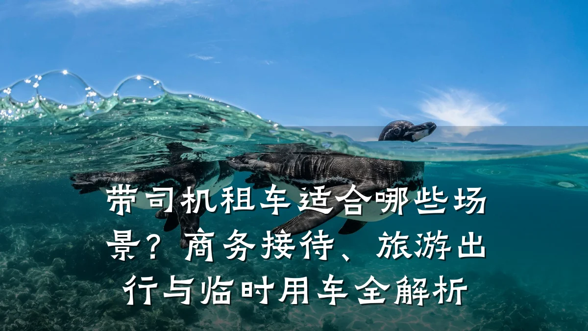 带司机租车适合哪些场景?商务接待、旅游出行与临时用车全解析