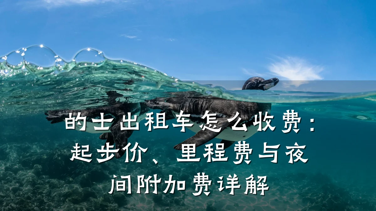 的士出租车怎么收费：起步价、里程费与夜间附加费详解