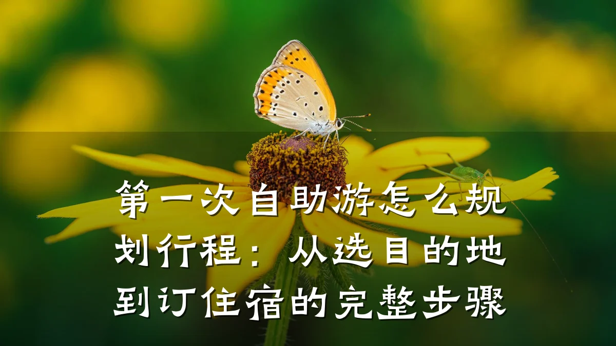 第一次自助游怎么规划行程：从选目的地到订住宿的完整步骤