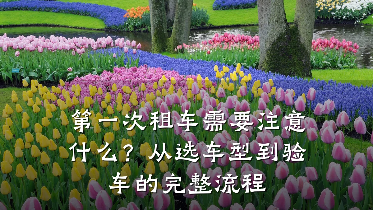 第一次租车需要注意什么?从选车型到验车的完整流程