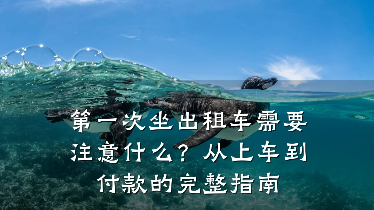 第一次坐出租车需要注意什么?从上车到付款的完整指南