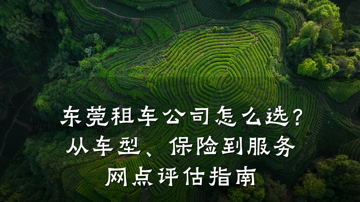 东莞租车公司怎么选？从车型、保险到服务网点评估指南