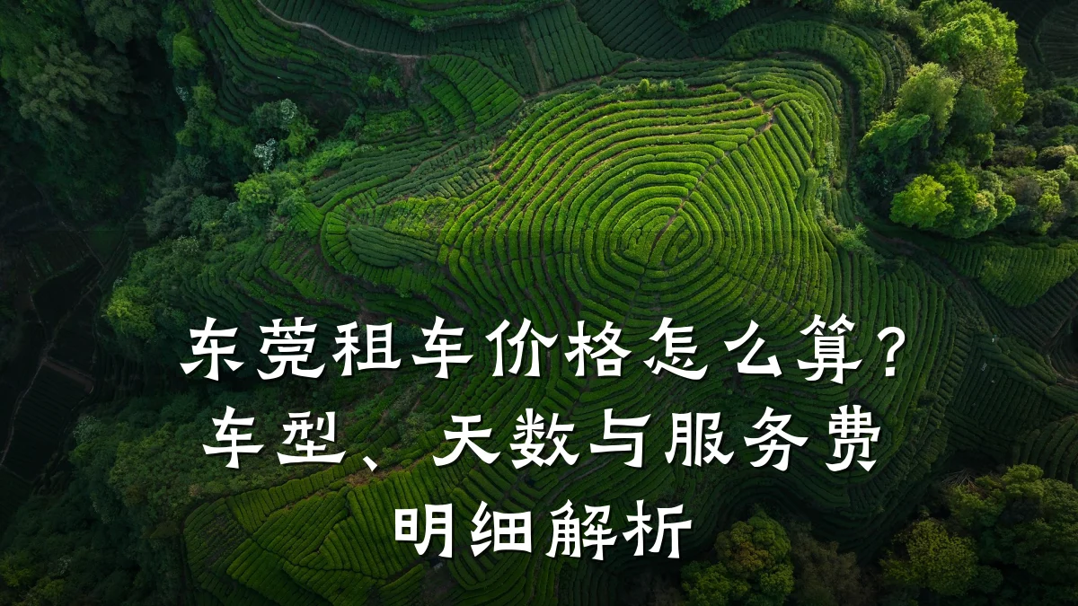 东莞租车价格怎么算?车型、天数与服务费明细解析