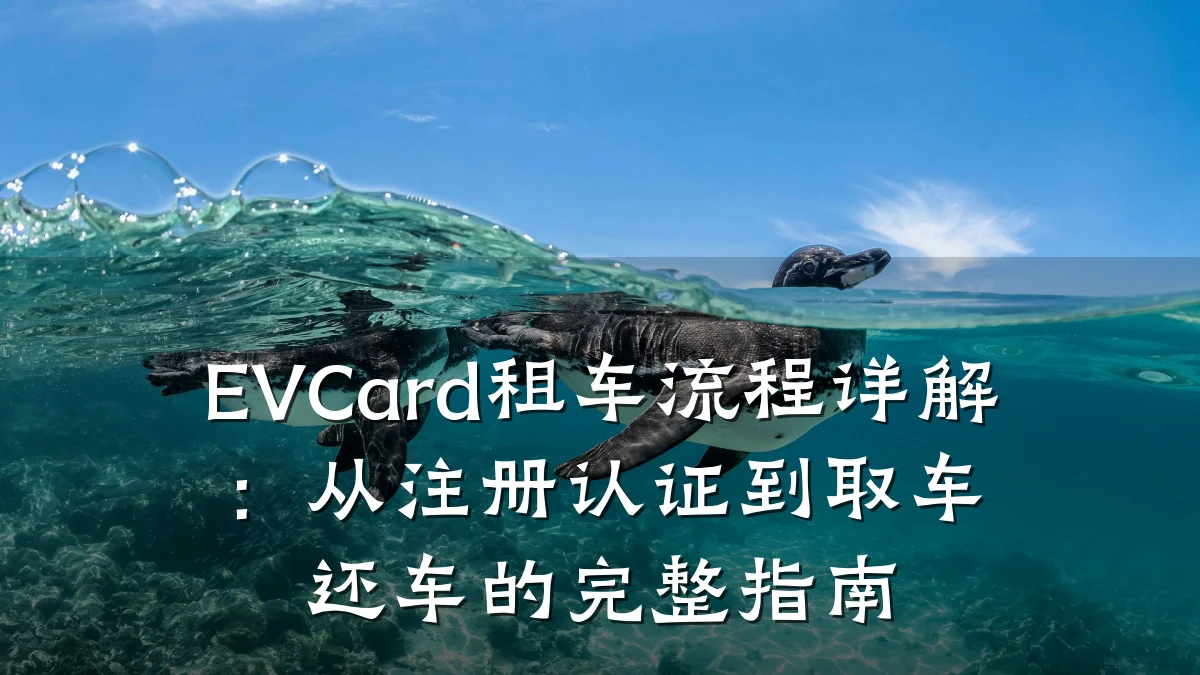EVCard租车流程详解：从注册认证到取车还车的完整指南