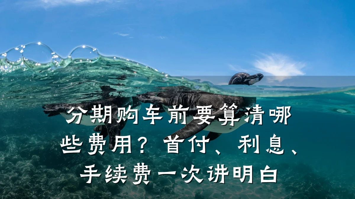 分期购车前要算清哪些费用？首付、利息、手续费一次讲明白