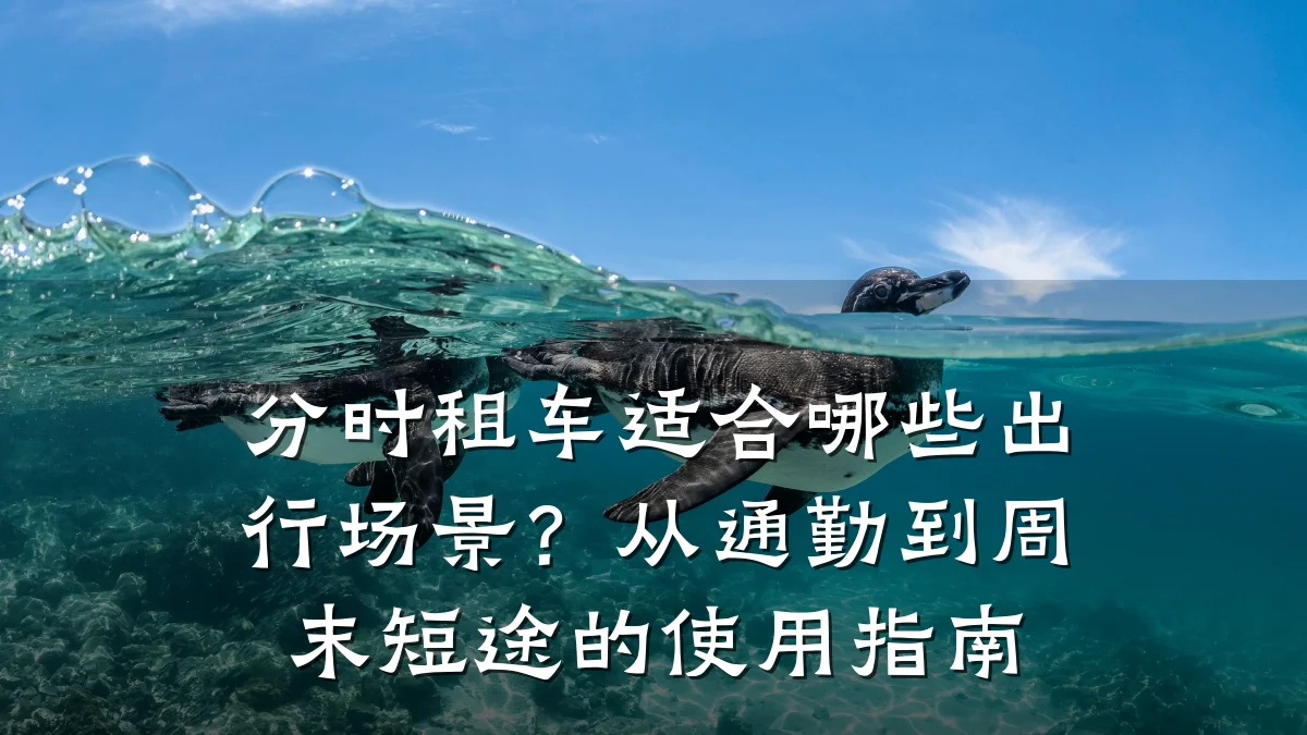 分时租车适合哪些出行场景？从通勤到周末短途的使用指南