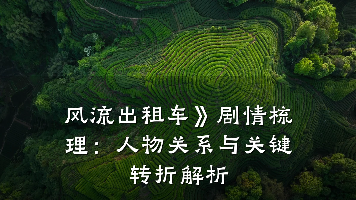 风流出租车》剧情梳理：人物关系与关键转折解析