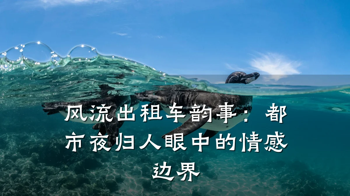 风流出租车韵事:都市夜归人眼中的情感边界