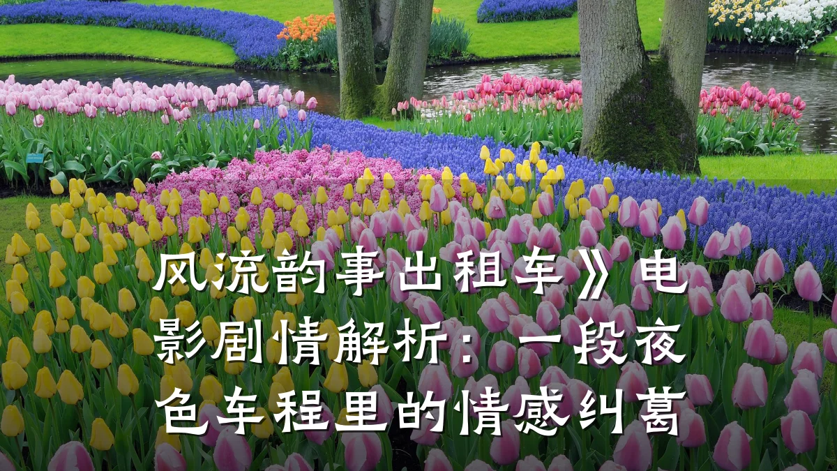 风流韵事出租车》电影剧情解析：一段夜色车程里的情感纠葛