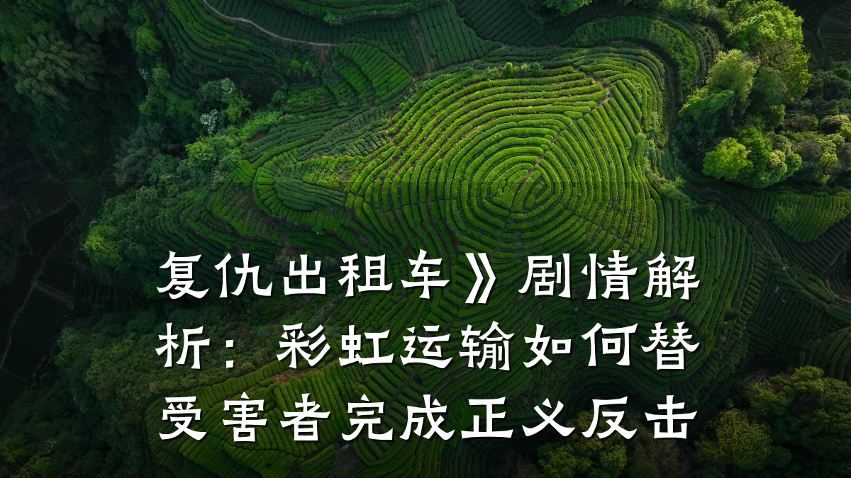 复仇出租车》剧情解析：彩虹运输如何替受害者完成正义反击
