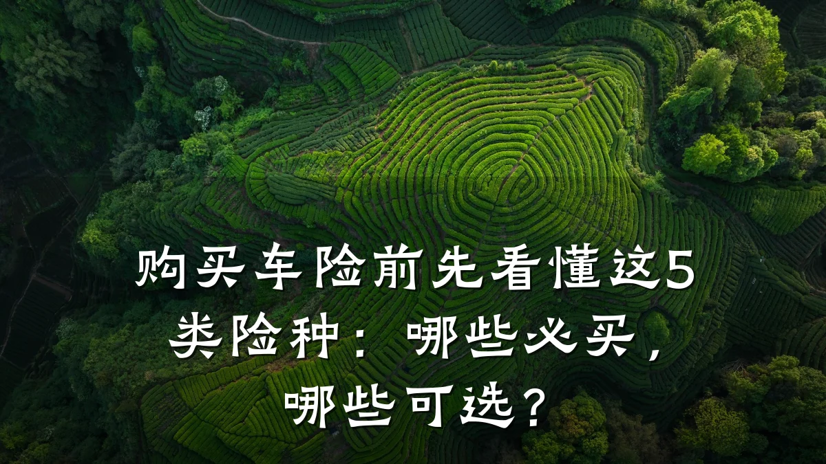 购买车险前先看懂这5类险种:哪些必买,哪些可选?