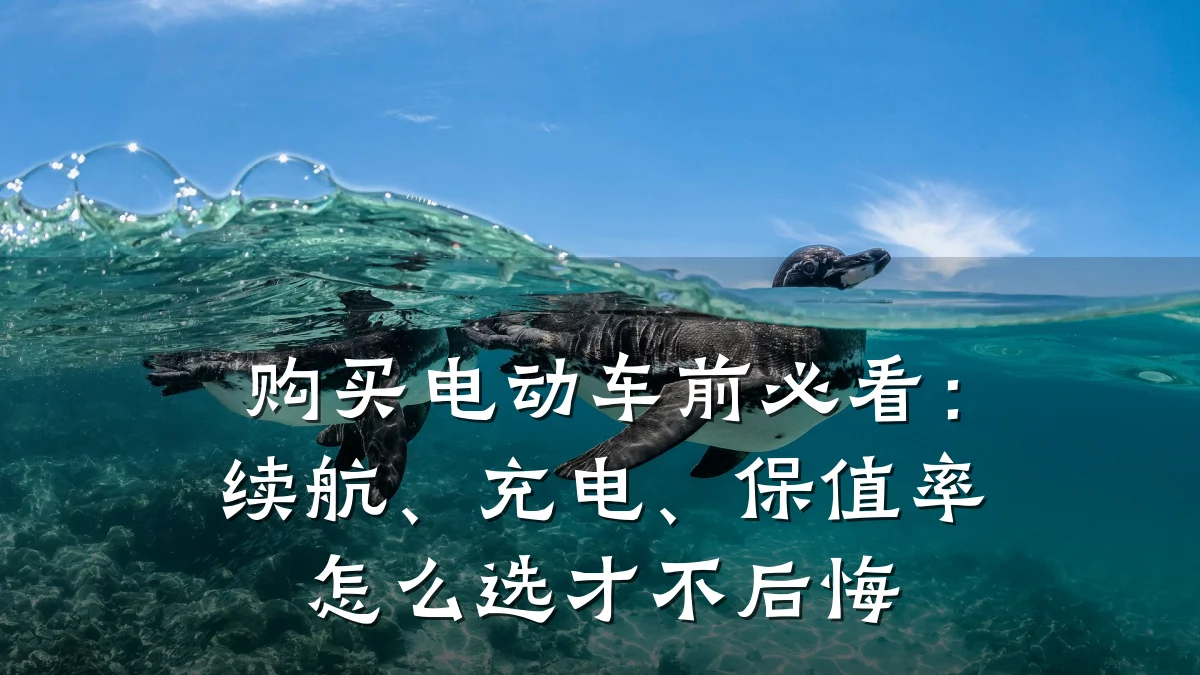 购买电动车前必看：续航、充电、保值率怎么选才不后悔