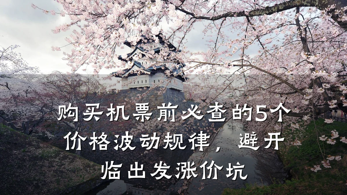 购买机票前必查的5个价格波动规律，避开临出发涨价坑