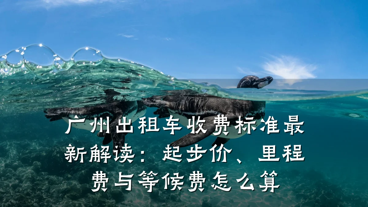 广州出租车收费标准最新解读:起步价、里程费与等候费怎么算