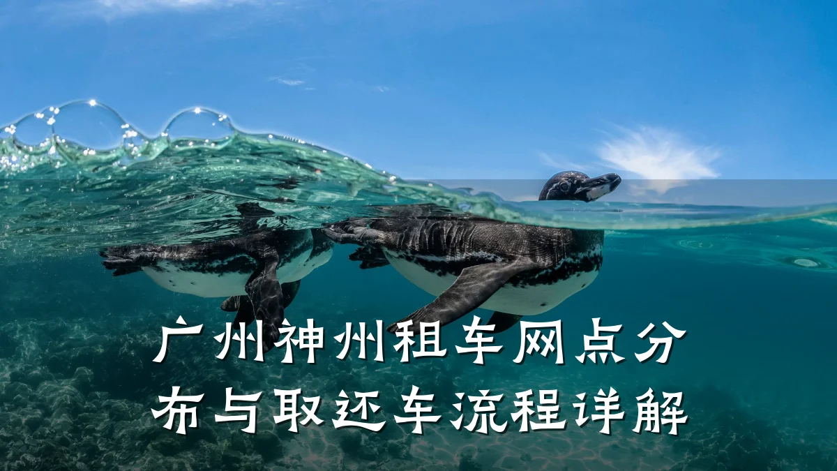 广州神州租车网点分布与取还车流程详解