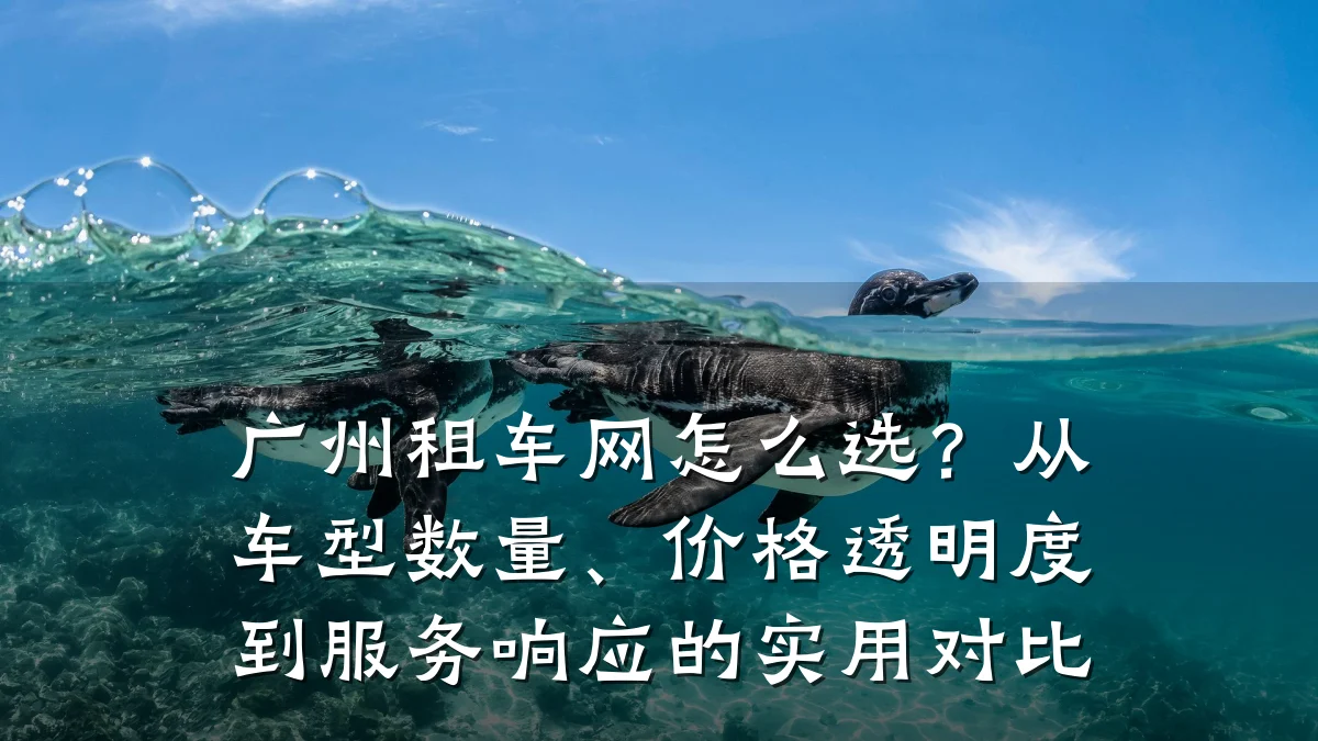 广州租车网怎么选?从车型数量、价格透明度到服务响应的实用对比